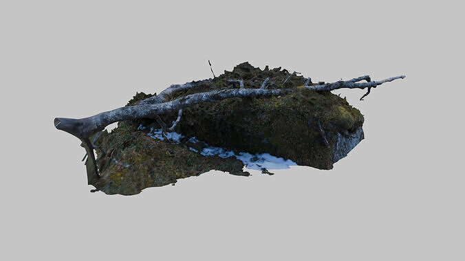 Rocky Stem 3D model