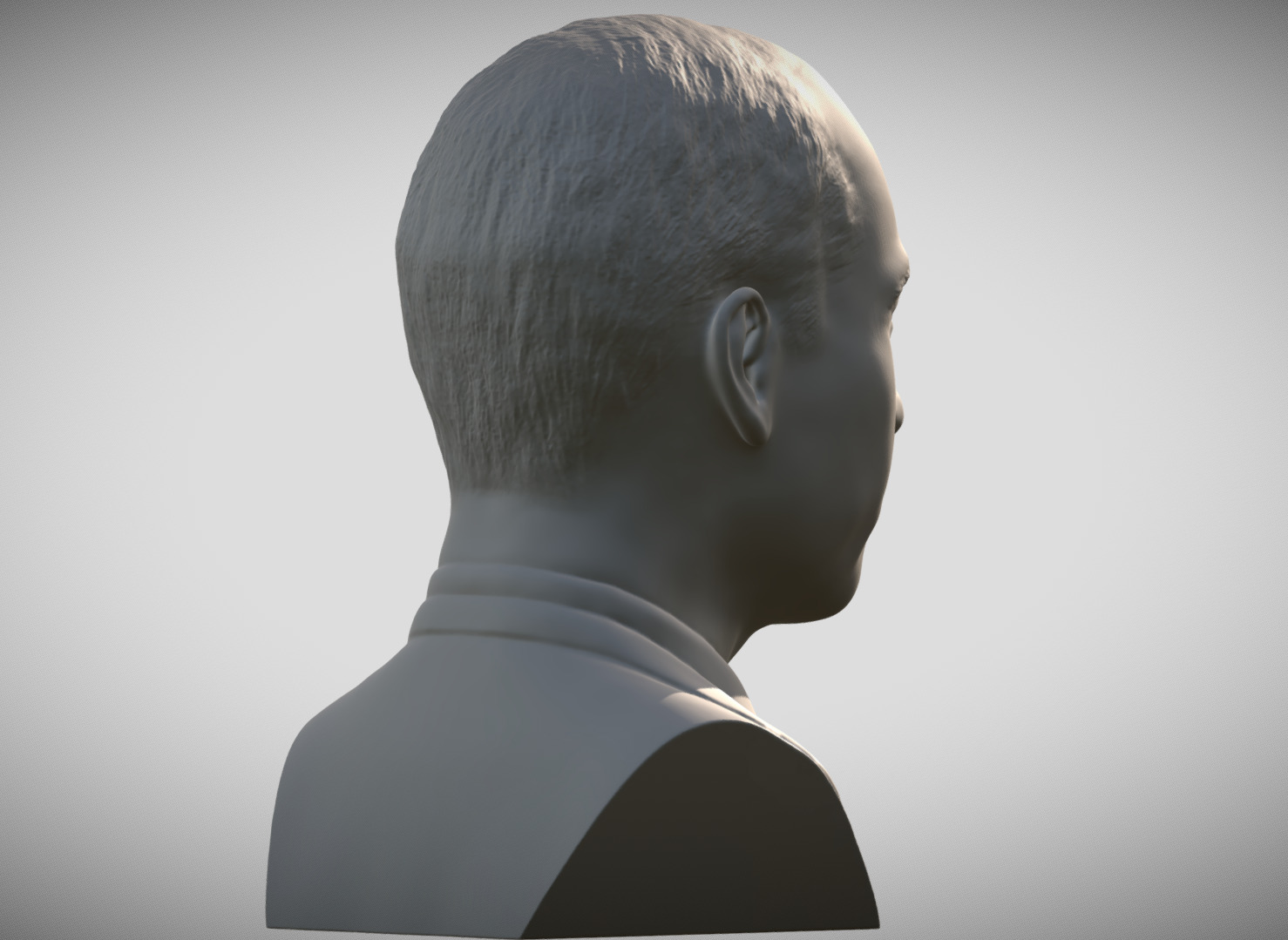 Prince William bust 3D print model_6