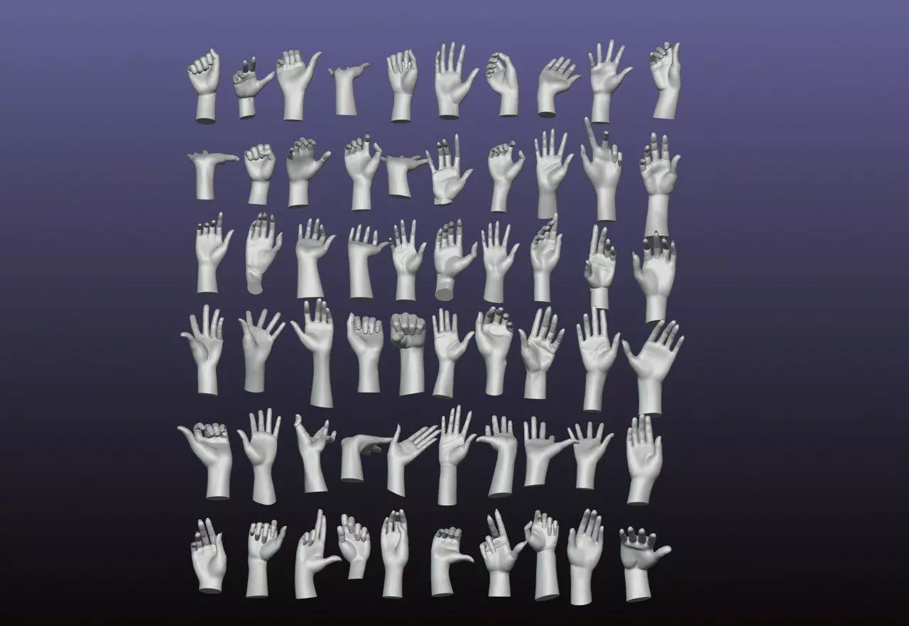 60 Female hand poses 3D model_0