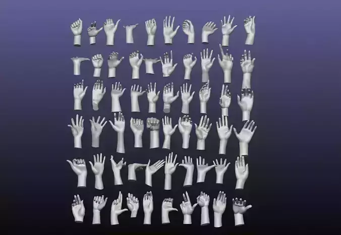 60 Female hand poses 3D model