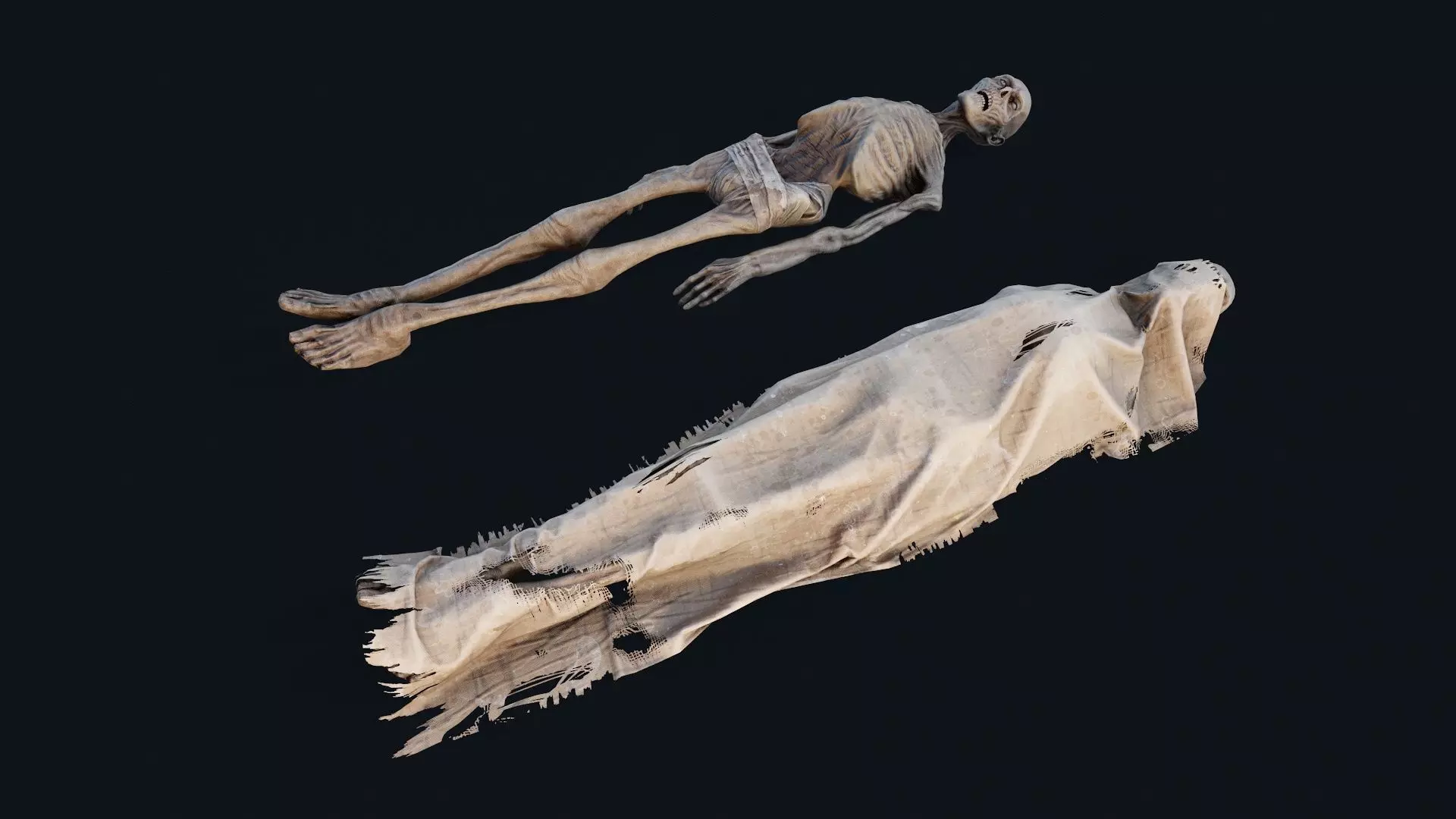 Human corpse covered 2 Low-poly 3D model_0