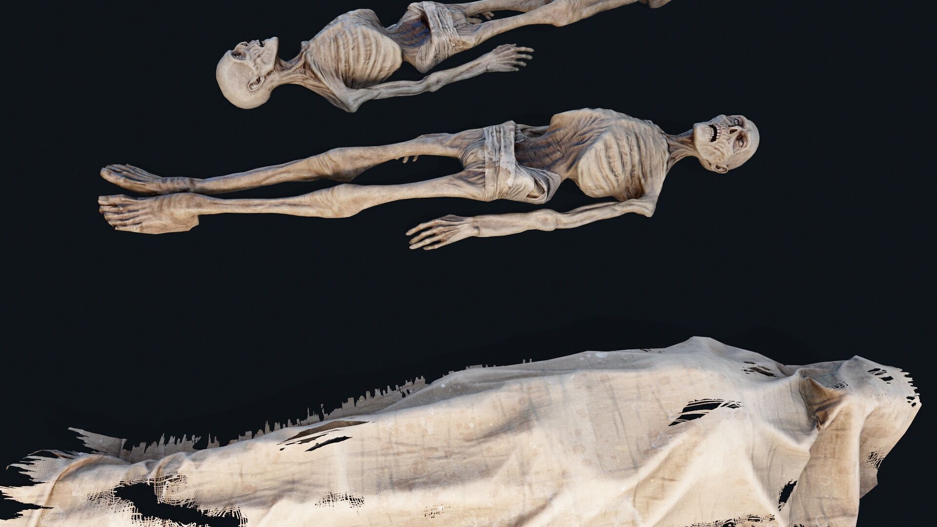 Human corpse covered 2 Low-poly 3D model_5