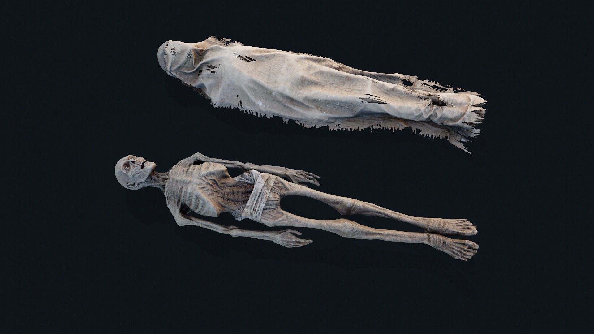 Human corpse covered 2 Low-poly 3D model_2