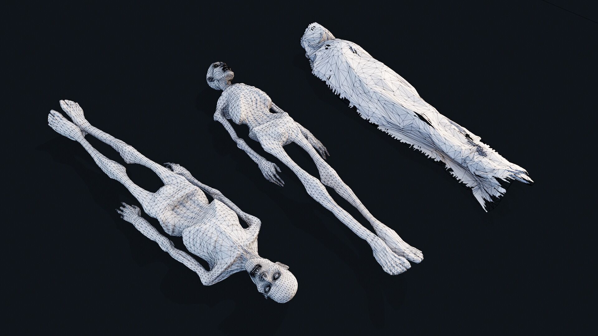 Human corpse covered 2 Low-poly 3D model_7