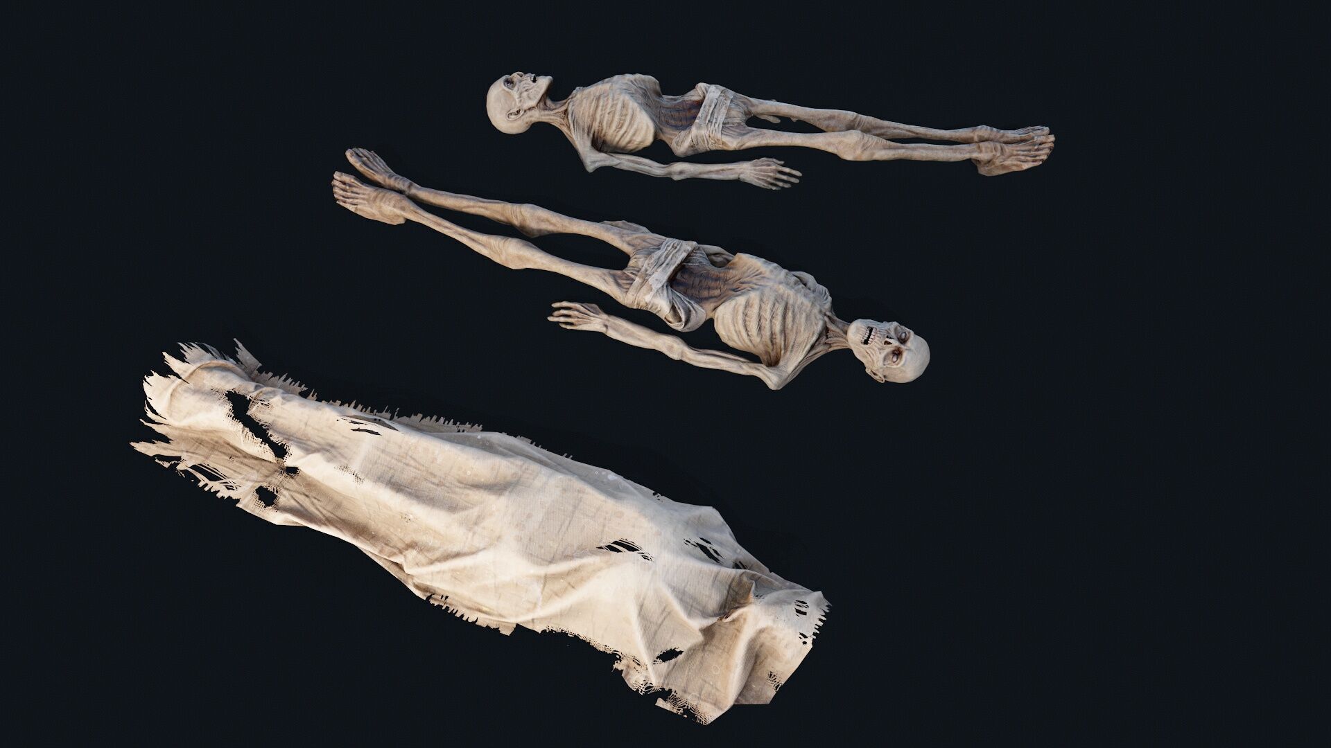 Human corpse covered 2 Low-poly 3D model_4