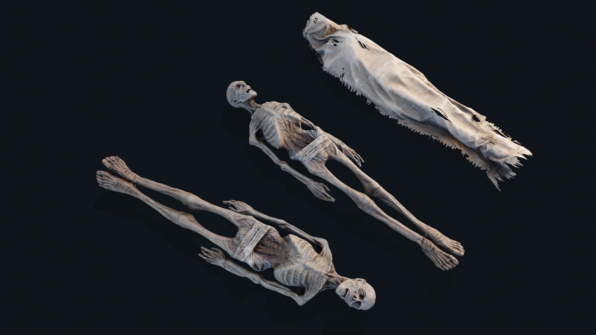 Human corpse covered 2 Low-poly 3D model_3