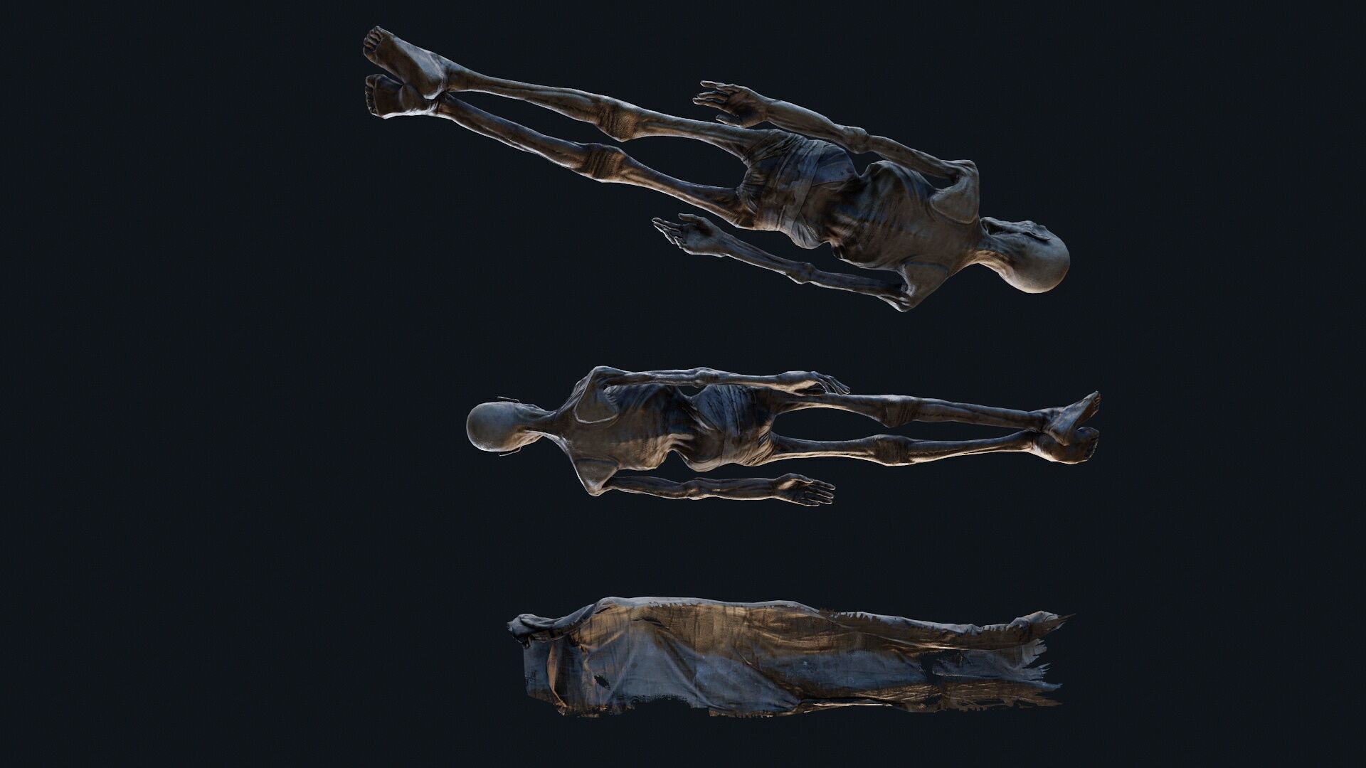 Human corpse covered 2 Low-poly 3D model_6