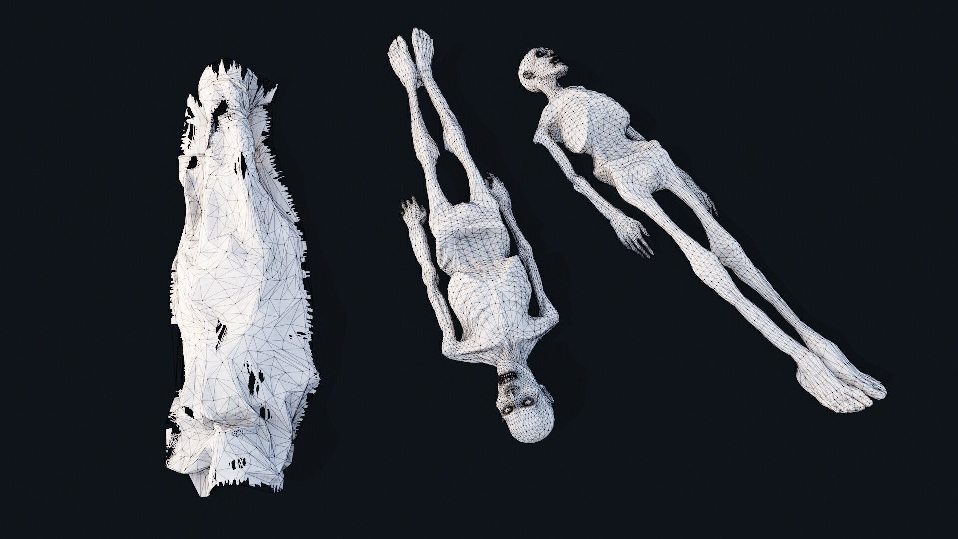 Human corpse covered 2 Low-poly 3D model_8