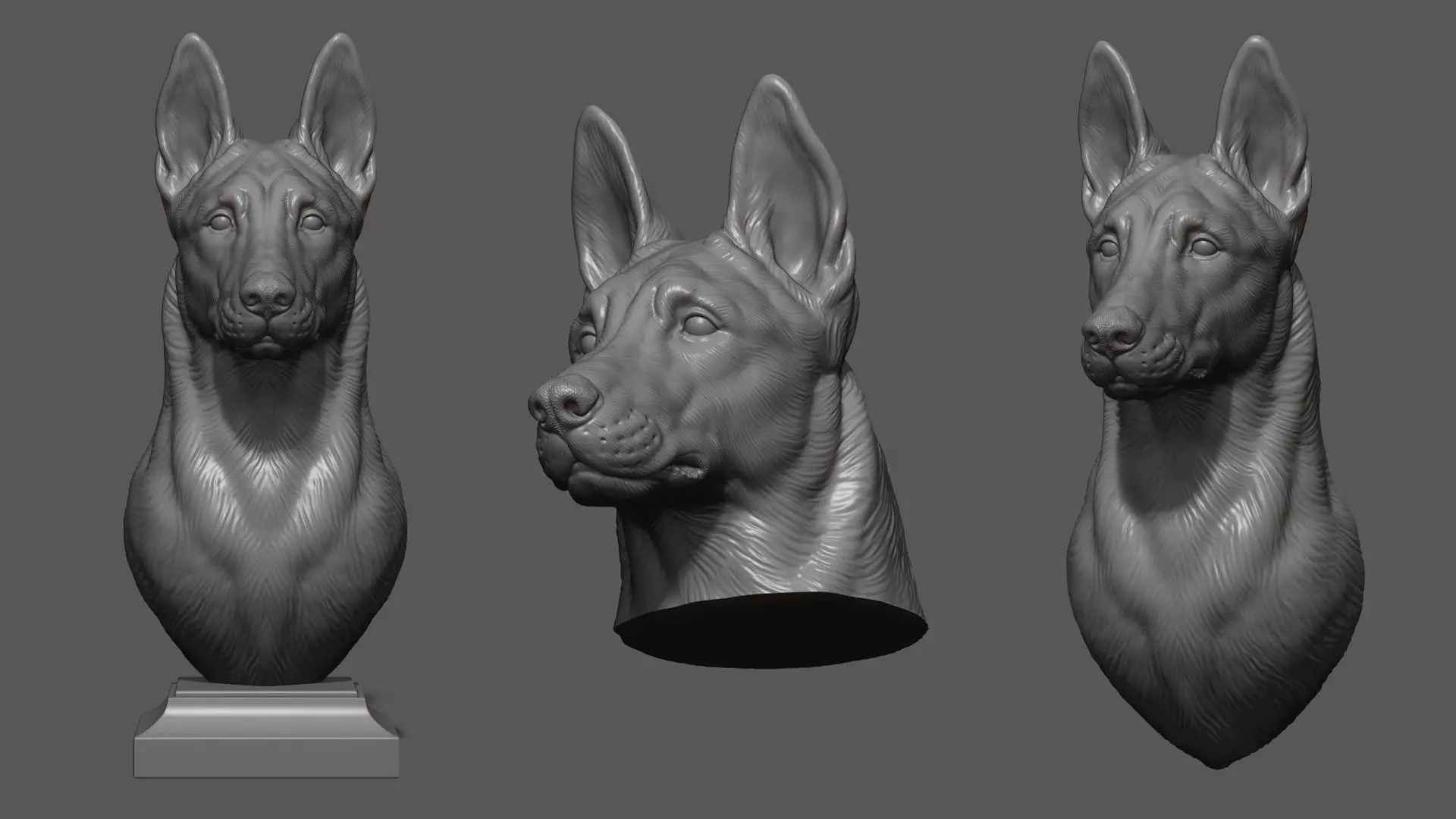 Belgian Shepherd Malinois with a closed mouth 3D print model