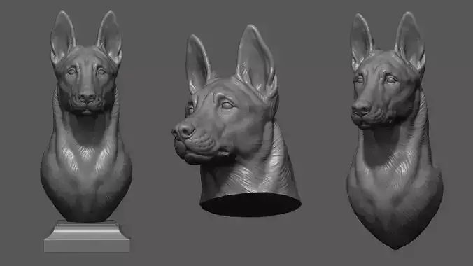 Belgian Shepherd Malinois  with a closed mouth 3D print model