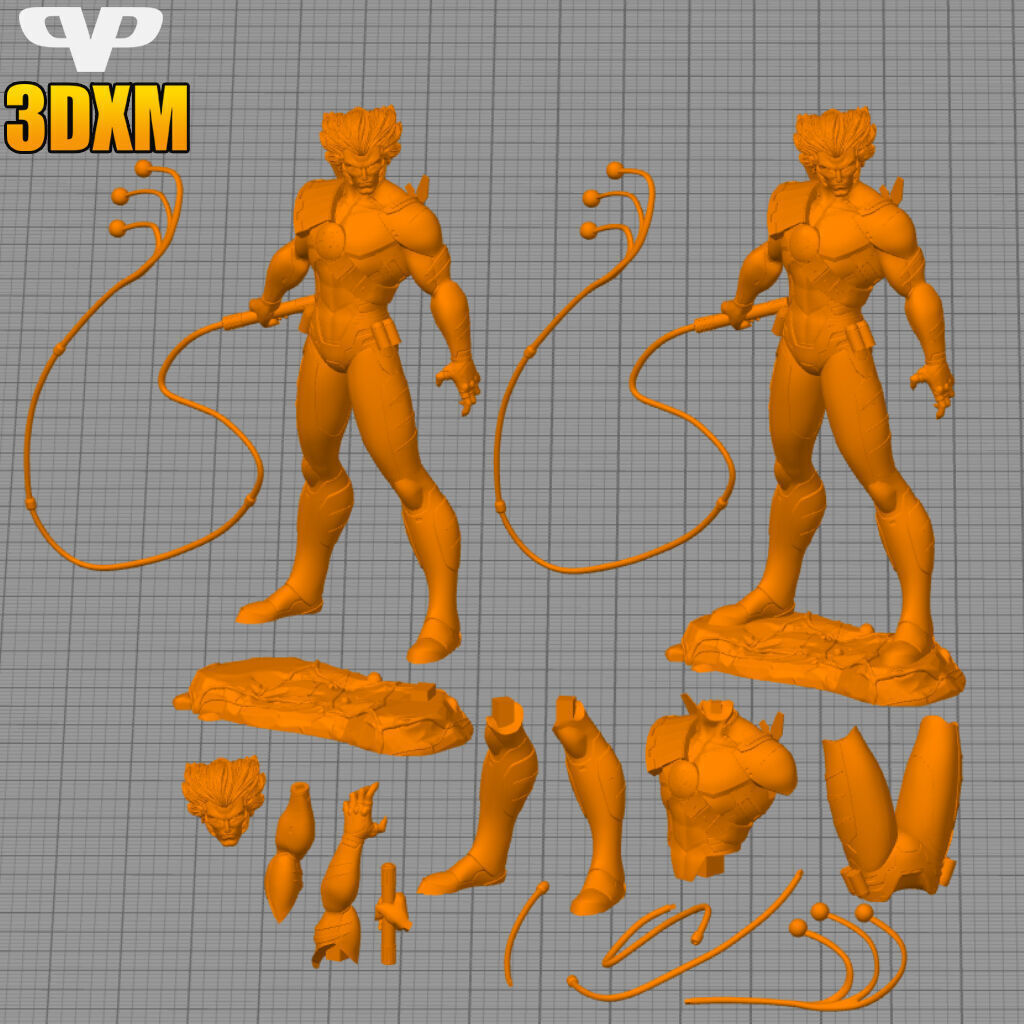 Tygra Thundercats STL for 3D Printing 3DXM ChibiSTL 3D print model_2