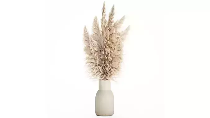 Bouquet Dried Flowers Branches Cortaderia Pampas vase 554