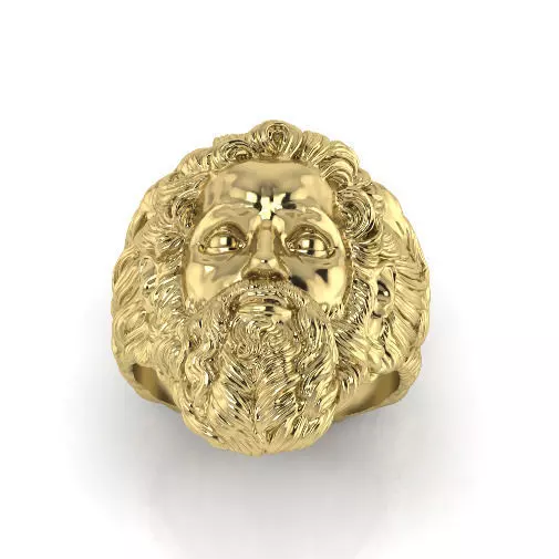 Ring N013084 3D print model_0