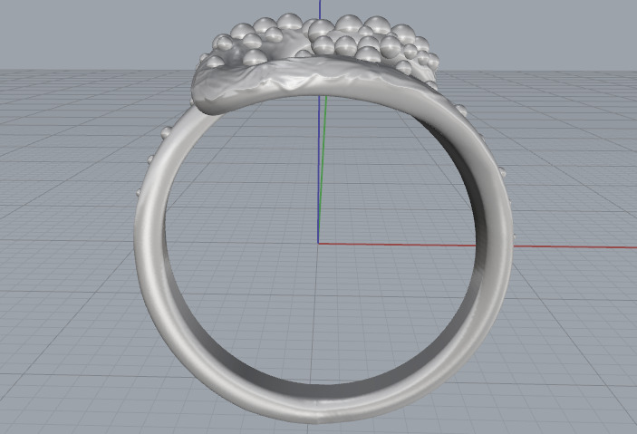 Ring nugget N013083 3D print model_4