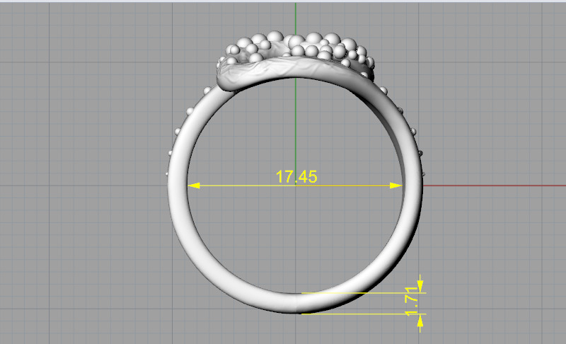 Ring nugget N013083 3D print model_6
