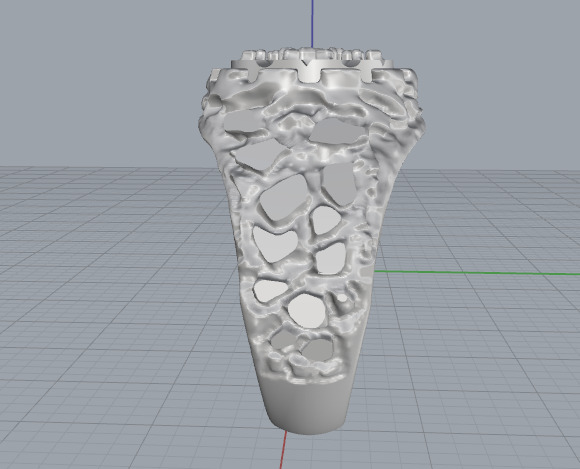 Ring nugget N013049 3D print model_3
