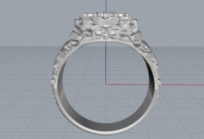 Ring nugget N013049 3D print model_4