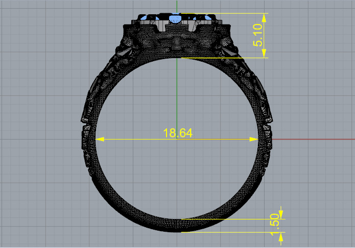 Ring nugget N013049 3D print model_6