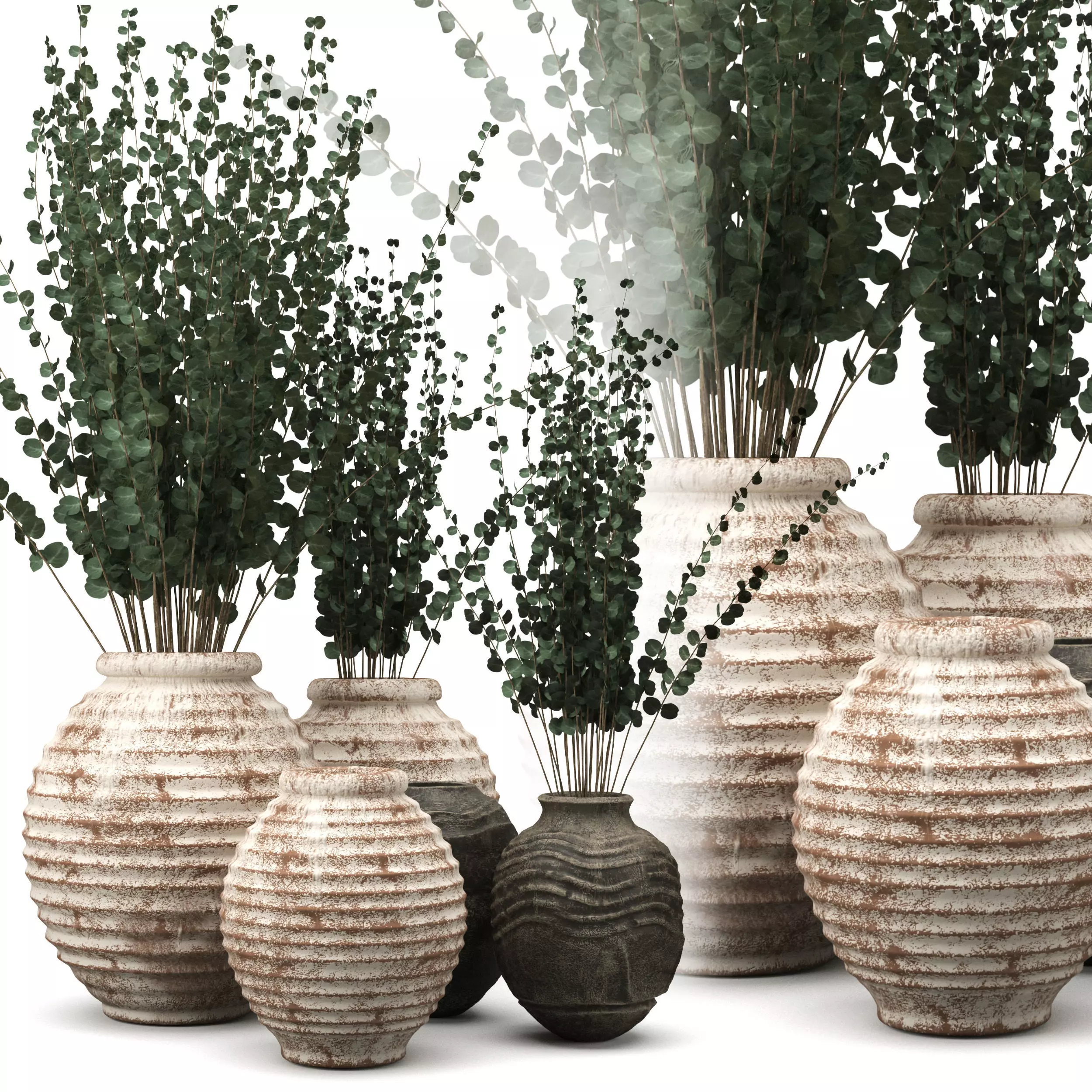 Clay Vases with Eucalyptus 3D model