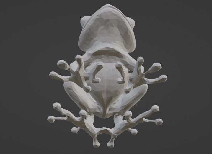 tree frog 3D print model_2
