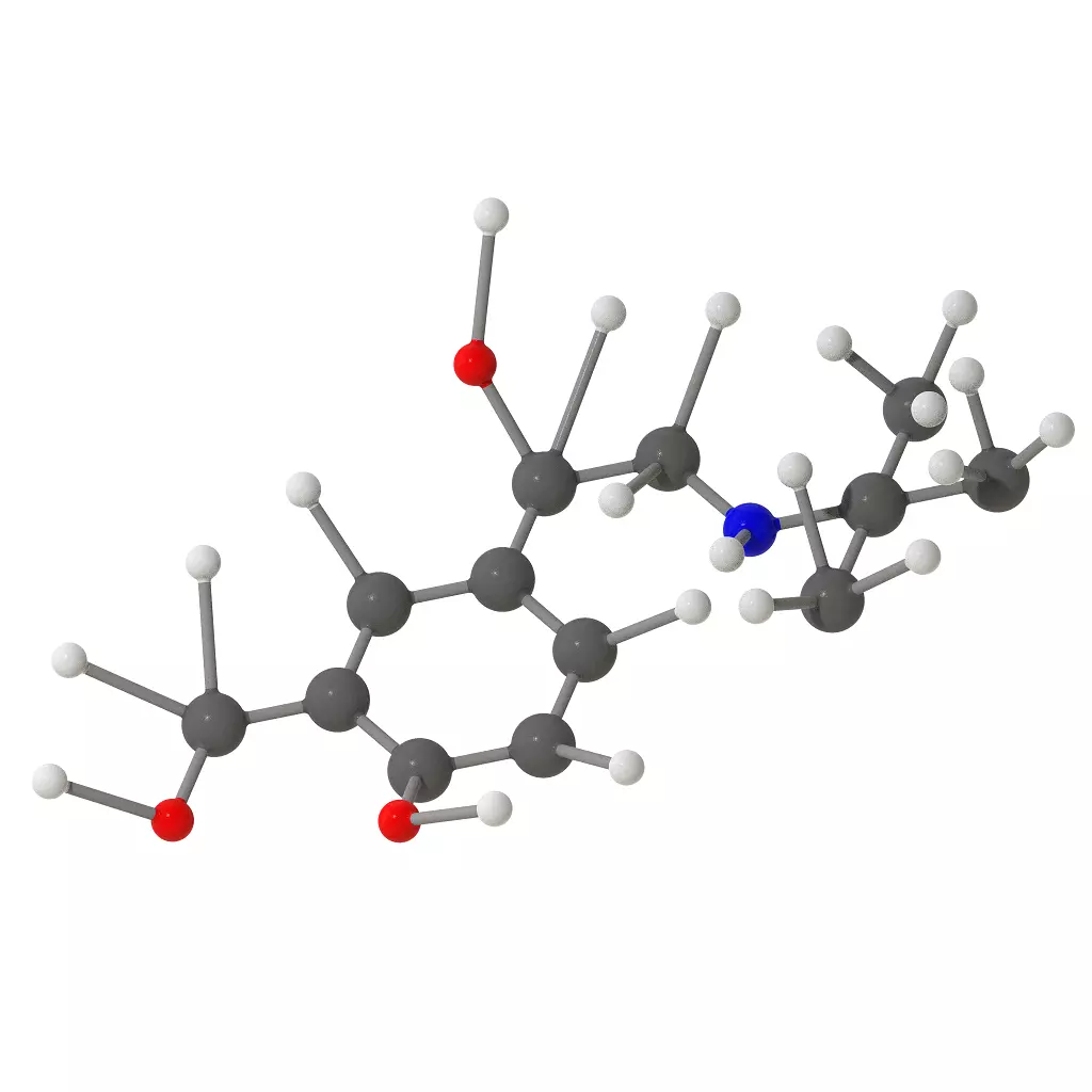 Albuterol Molecular Structure 3D print model_0