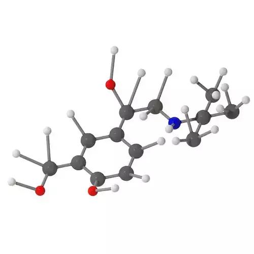 Albuterol Molecular Structure 3D print model