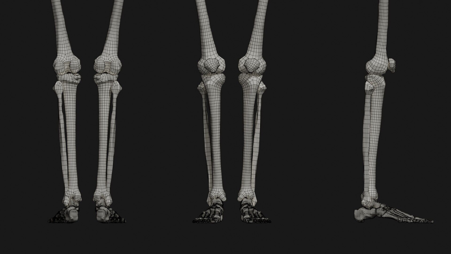 Skeleton Anatomy Base Mesh Male 3D model_27