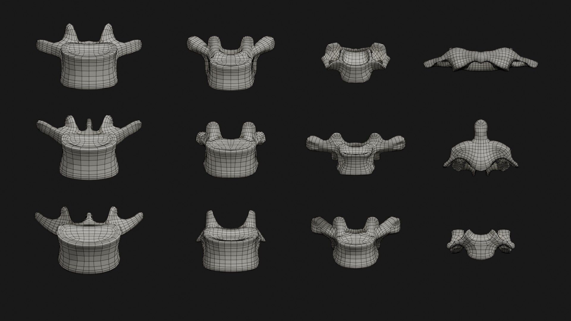 Skeleton Anatomy Base Mesh Male 3D model_35