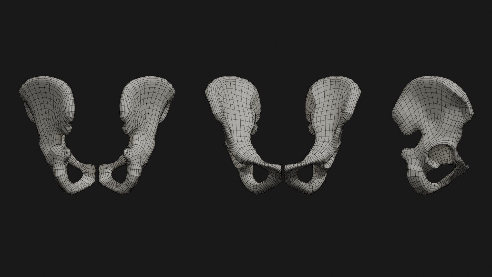 Skeleton Anatomy Base Mesh Male 3D model_34