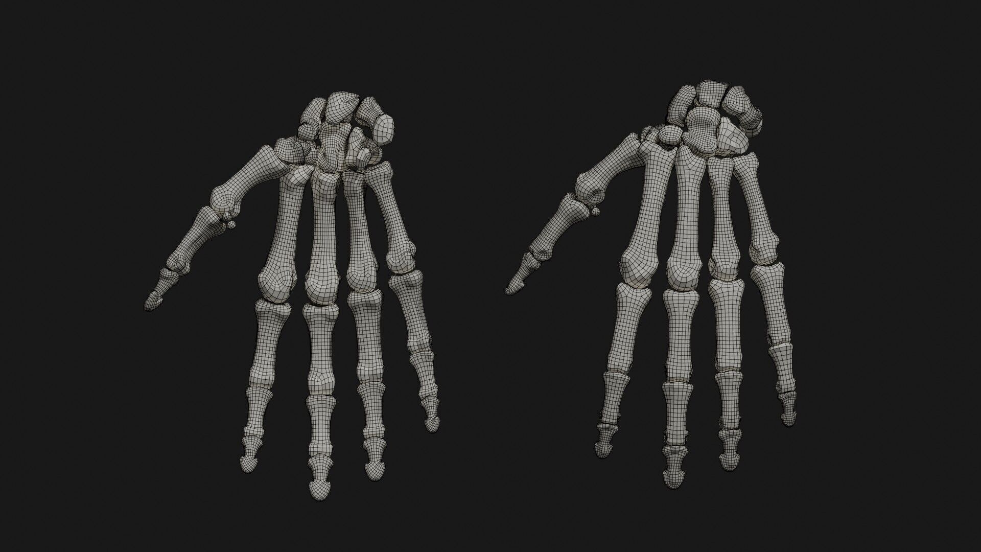 Skeleton Anatomy Base Mesh Male 3D model_31