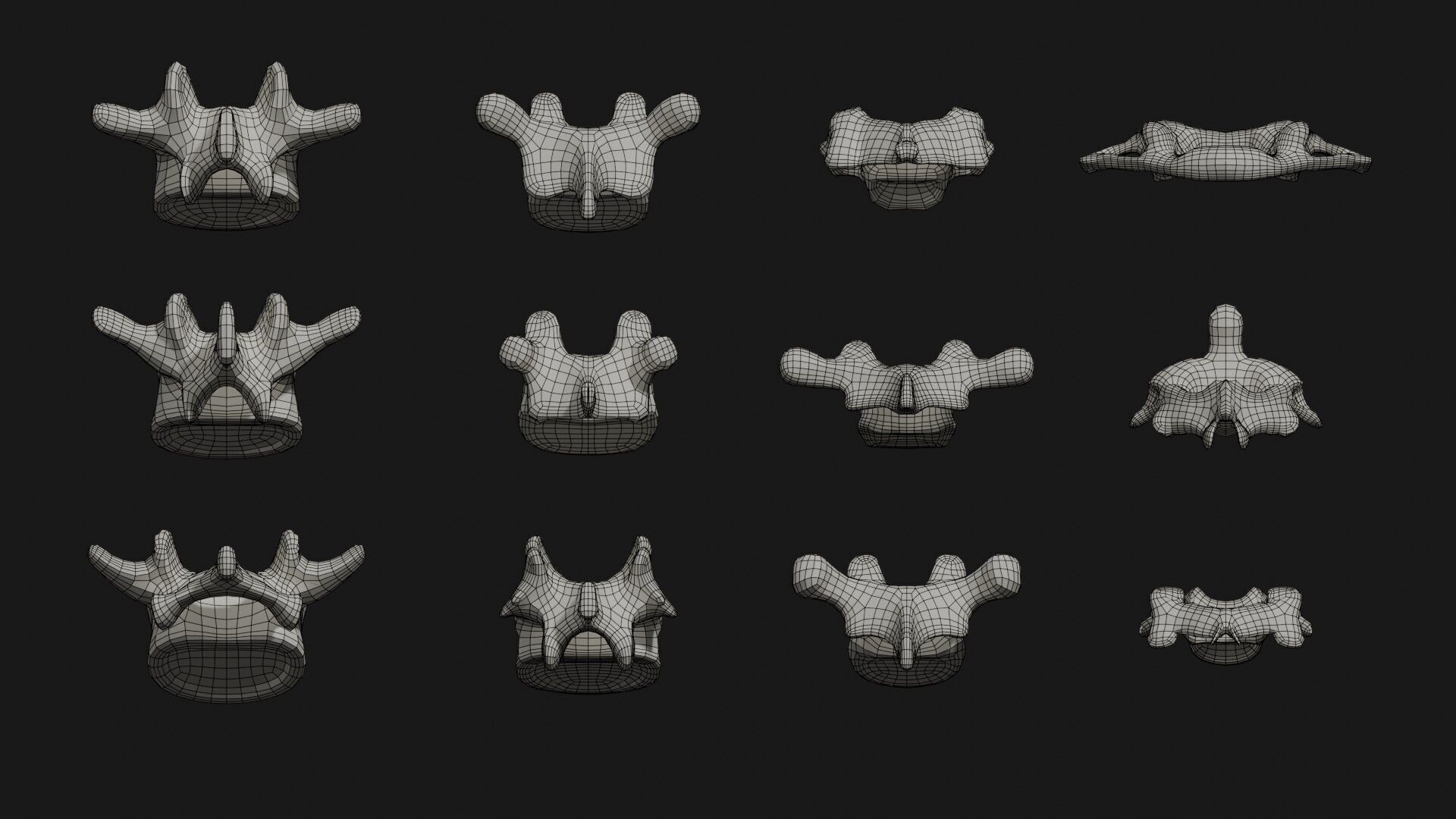 Skeleton Anatomy Base Mesh Male 3D model_36