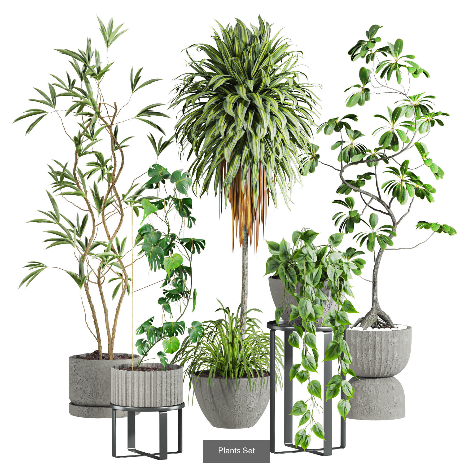 Plants Set 3D Model Collection_2