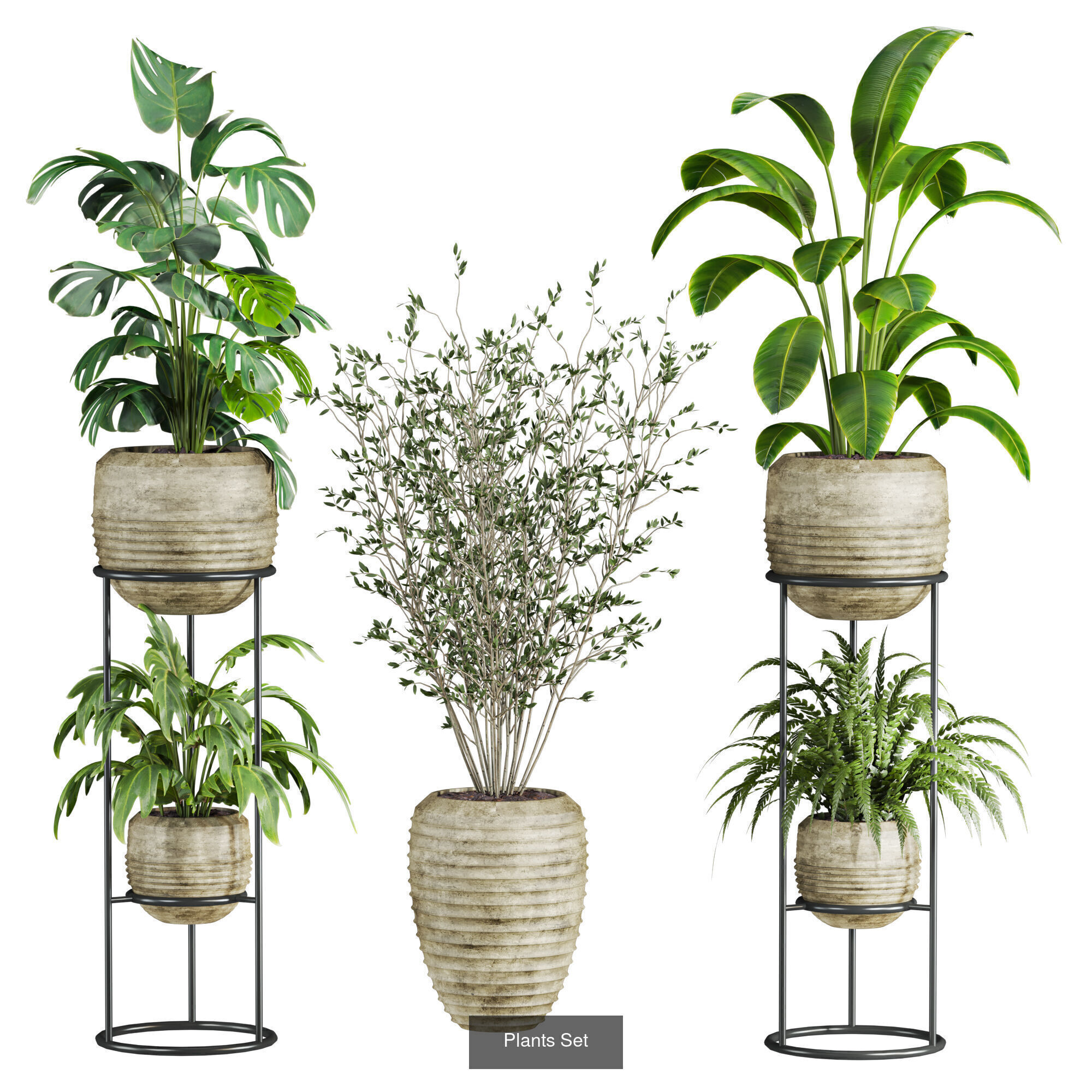 Plants Set 3D Model Collection_3