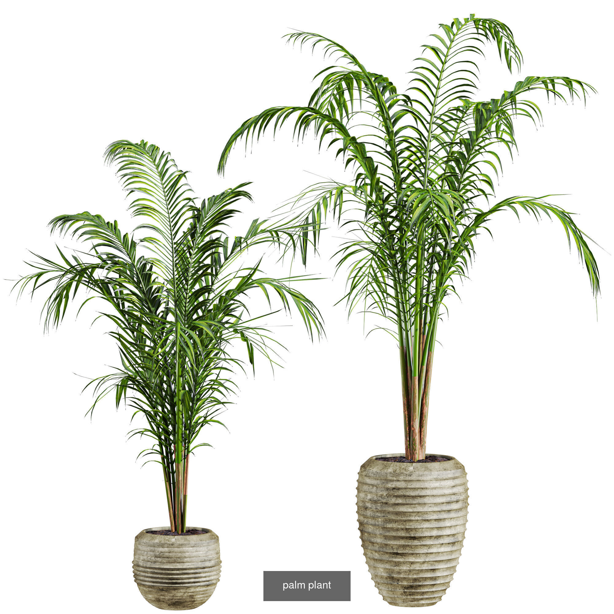 Plants Set 3D Model Collection_4