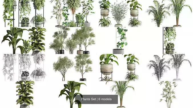 Plants Set