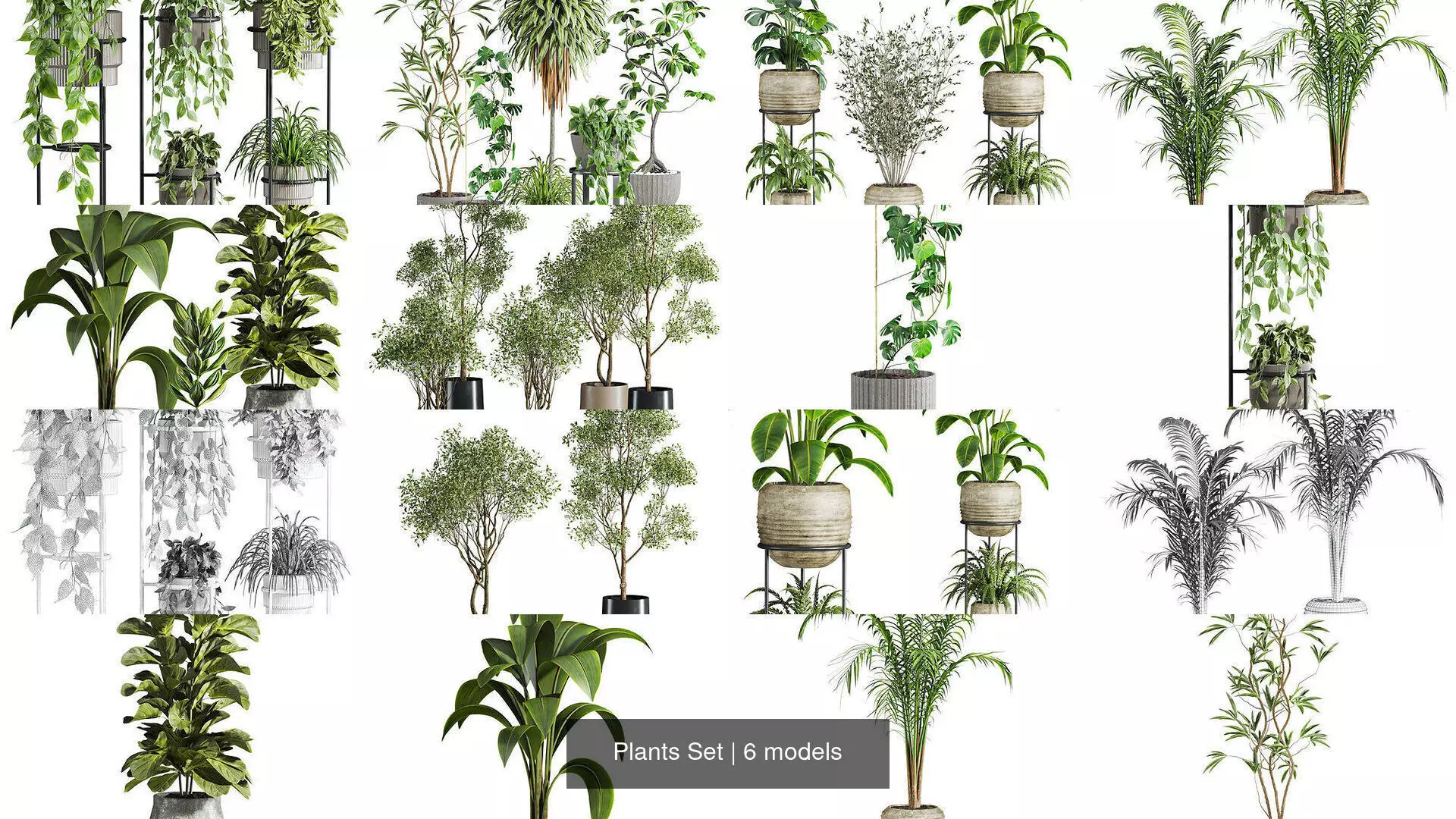 Plants Set 3D Model Collection_0