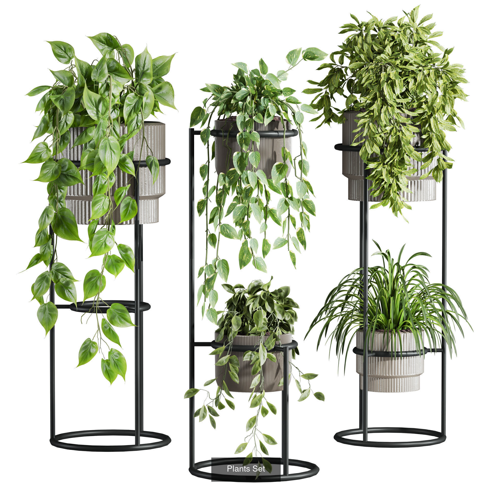 Plants Set 3D Model Collection_1