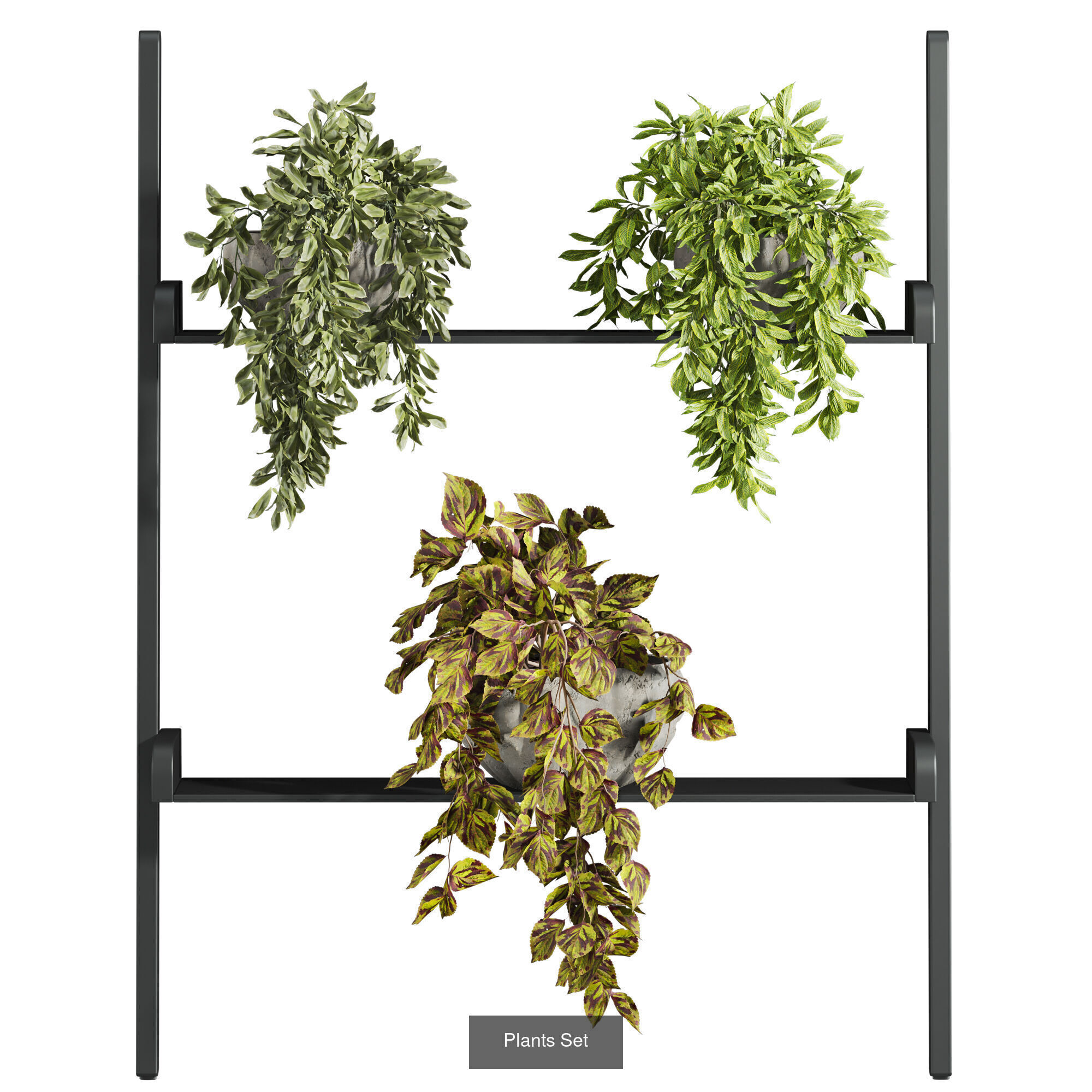 plants set on shelf 3D Model Collection_2