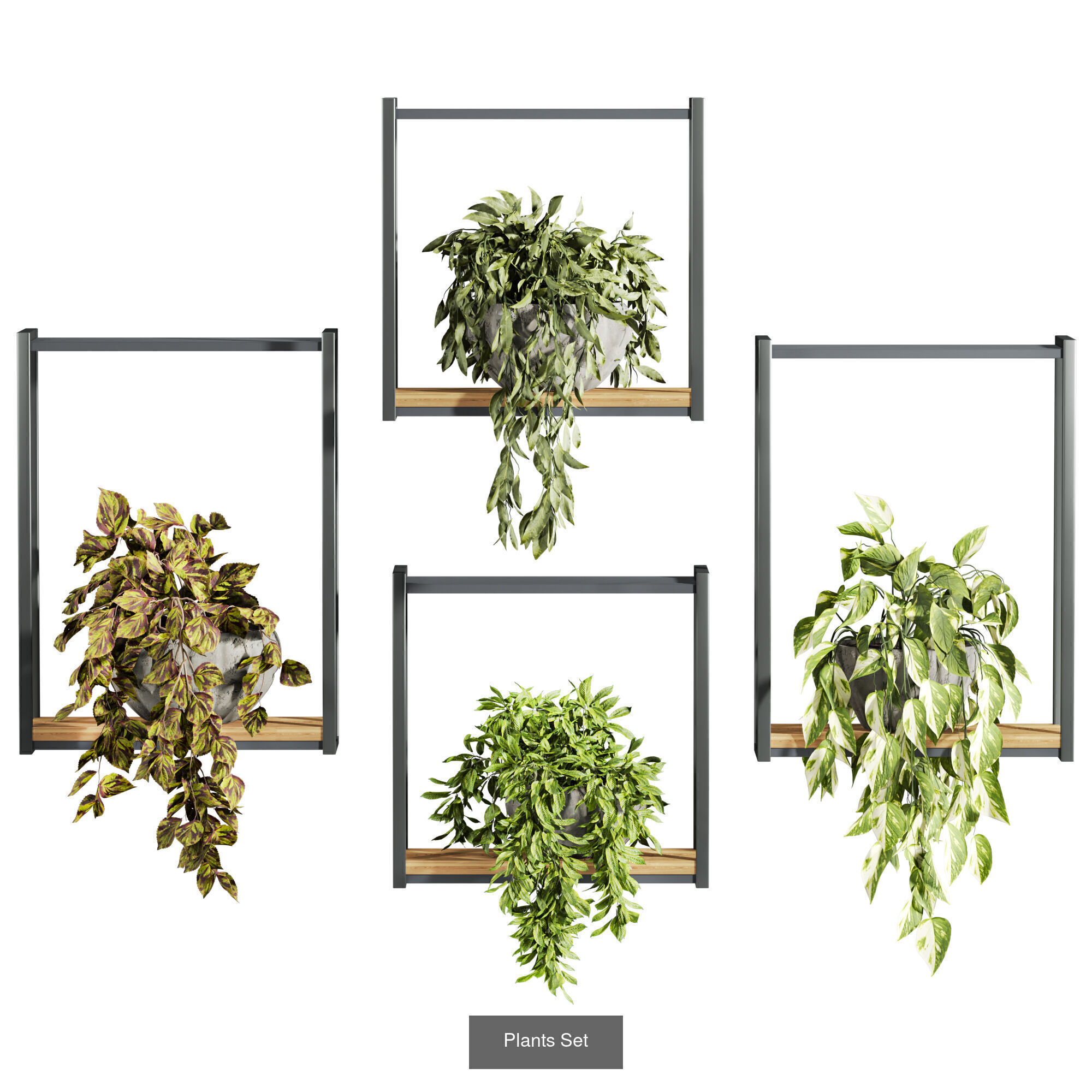 plants set on shelf 3D Model Collection_3