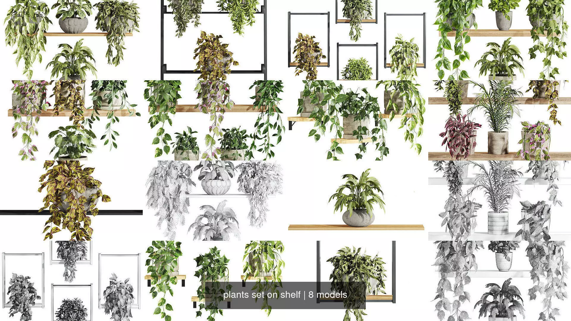 plants set on shelf 3D Model Collection_0