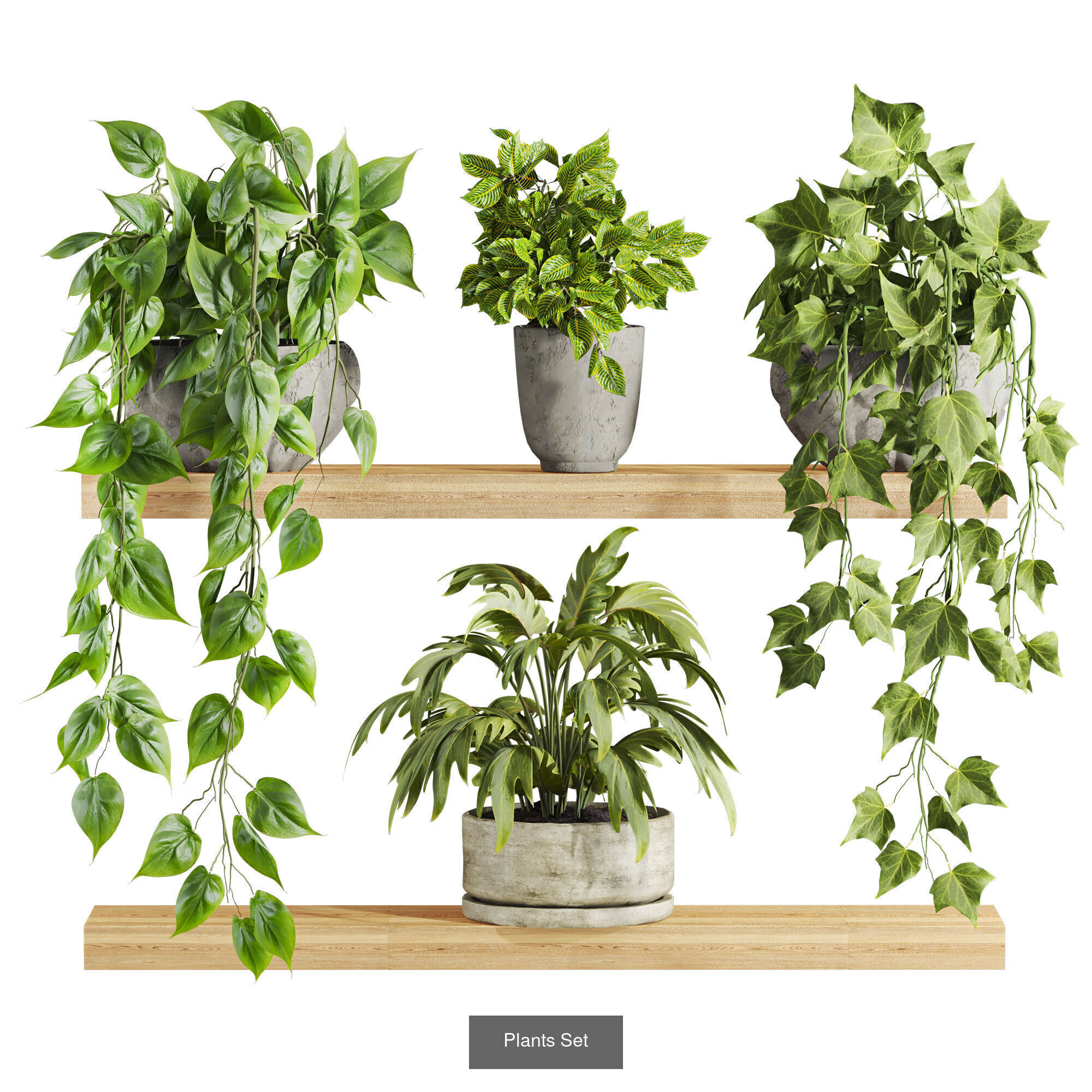 plants set on shelf 3D Model Collection_4