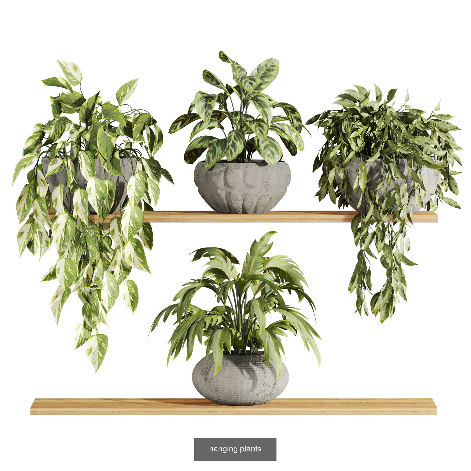 plants set on shelf 3D Model Collection_1