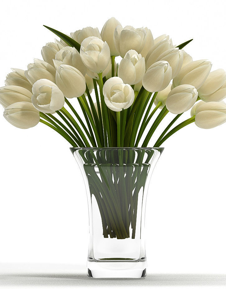 White Tulips 3D model_2