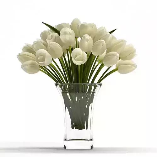 White Tulips