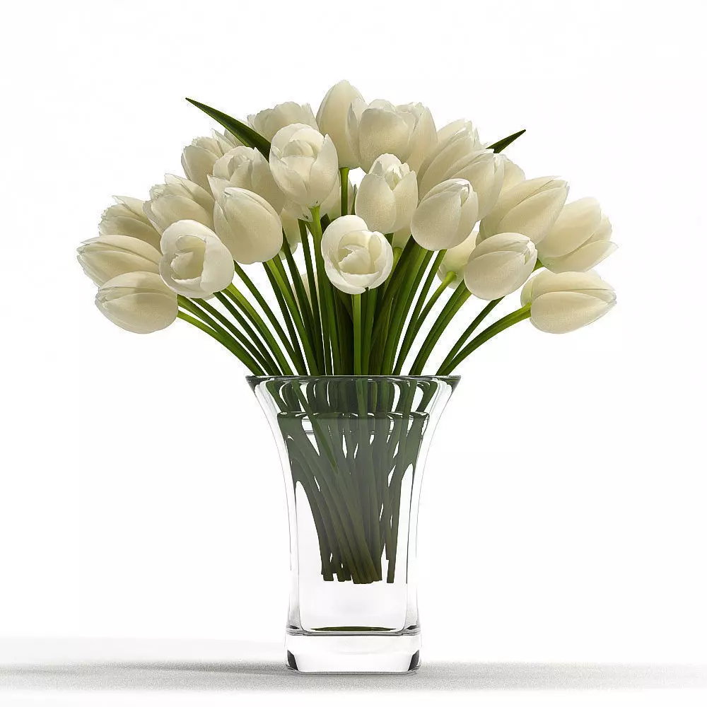 White Tulips 3D model_0