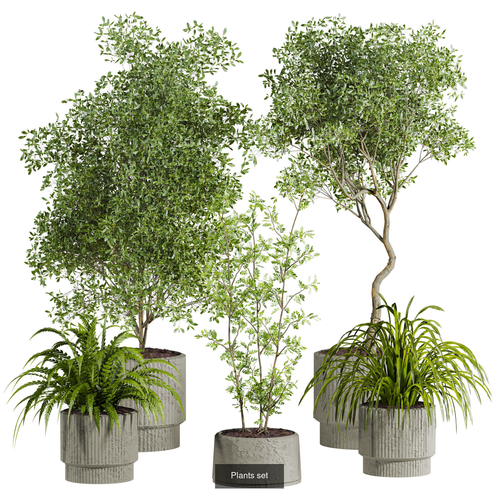 Plants Set 3D Model Collection_3