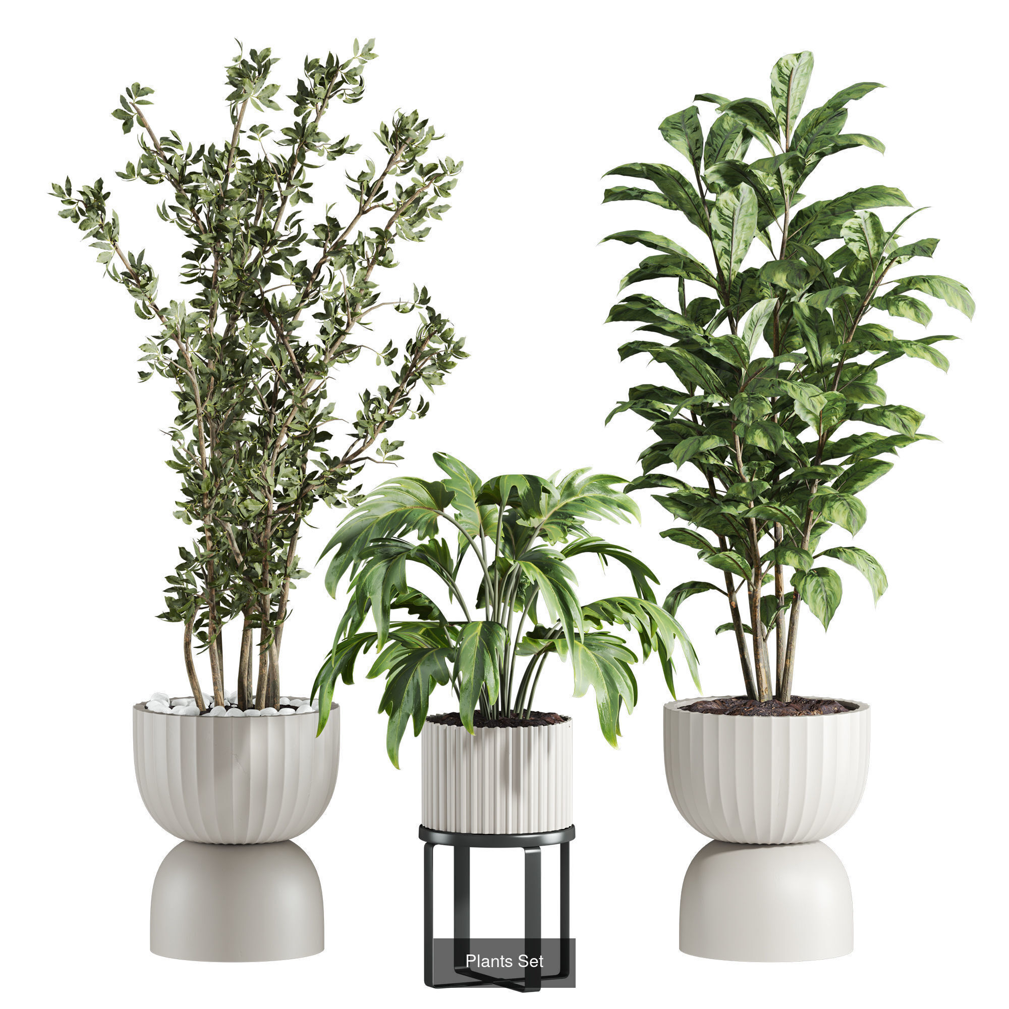 Plants Set 3D Model Collection_11