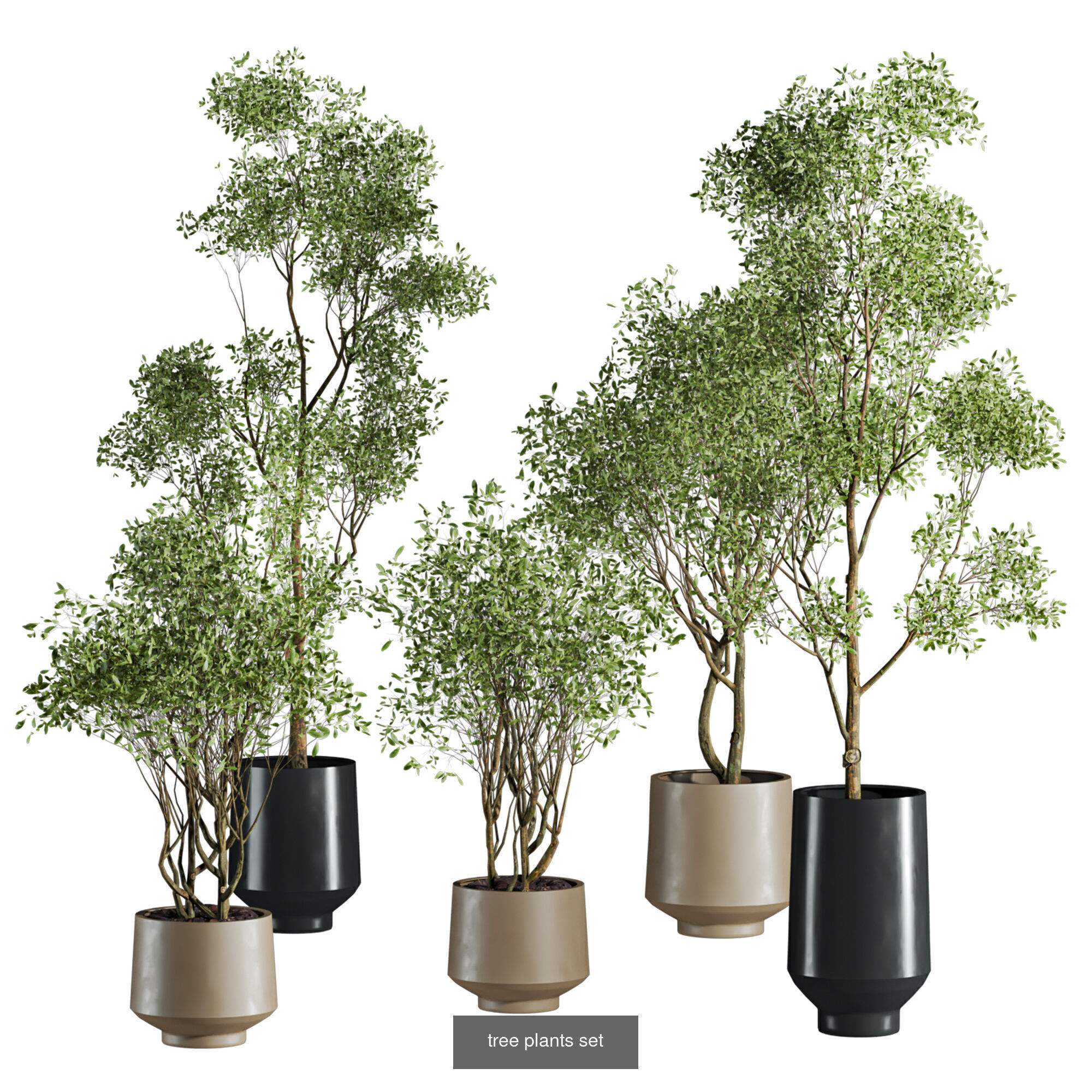 Plants Set 3D Model Collection_16