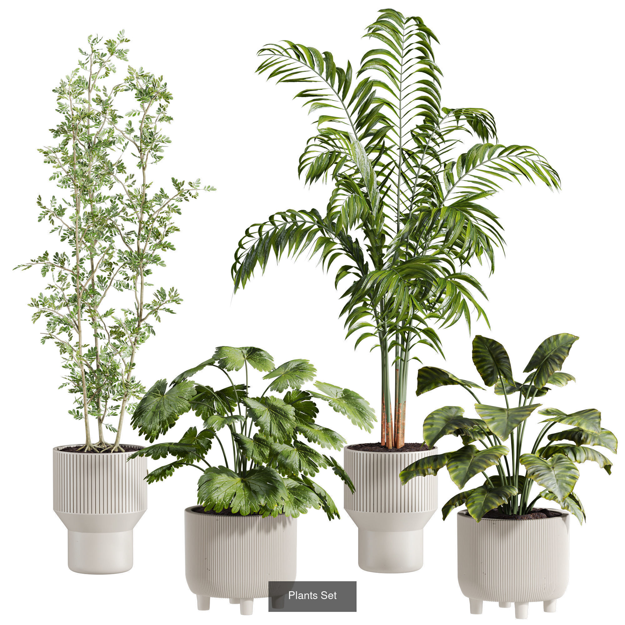 Plants Set 3D Model Collection_9