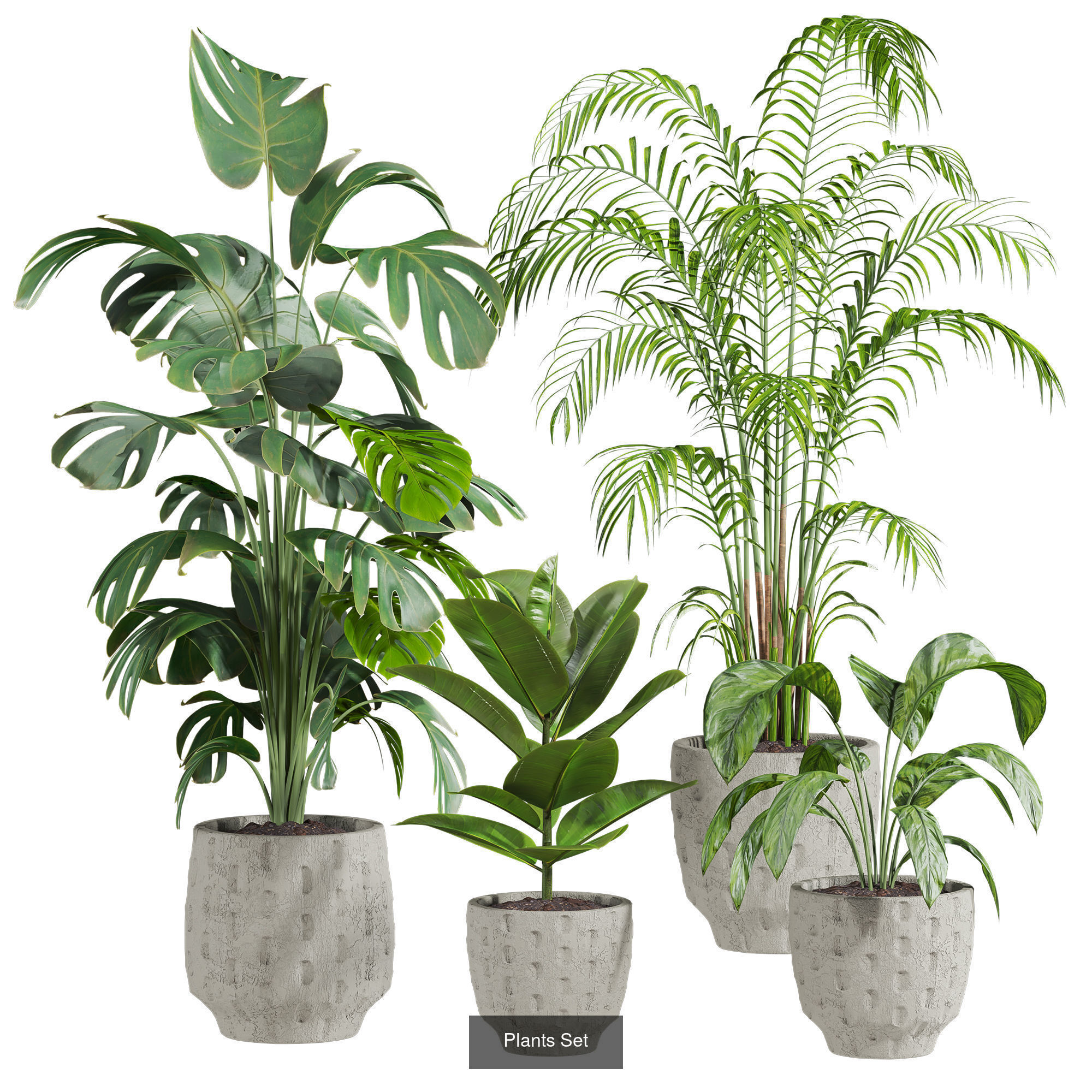 Plants Set 3D Model Collection_7